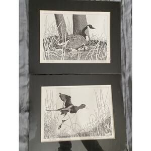 Two Richard Nelson Black/White 8 x 10 Geese And Goslings Numbered Signed Prints